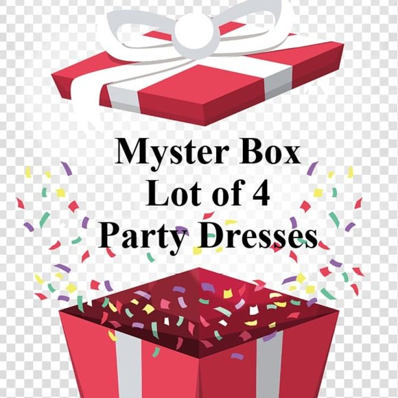 Mystery Box Dresses & Skirts - Mystery Box Lot of 4 Party Dresses